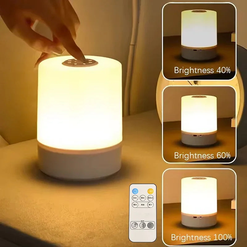 Dimmable Touch LED Bedside Night Lamp