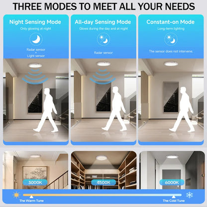 Motion Sensor Ceiling Light