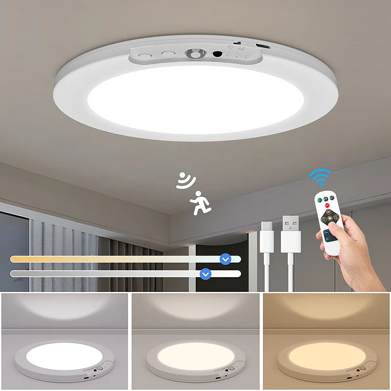 Motion Sensor Ceiling Light