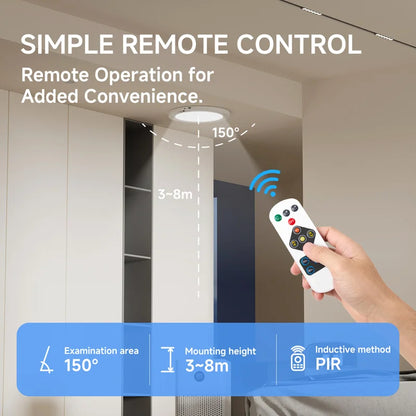 Motion Sensor Ceiling Light