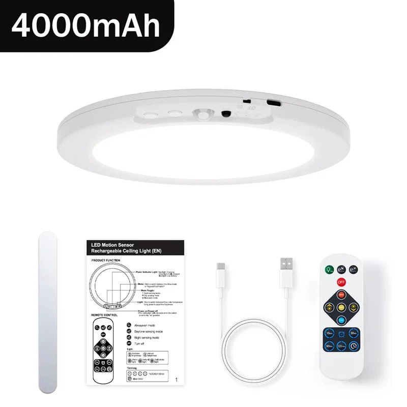 Motion Sensor Ceiling Light