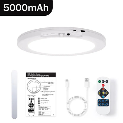 Motion Sensor Ceiling Light