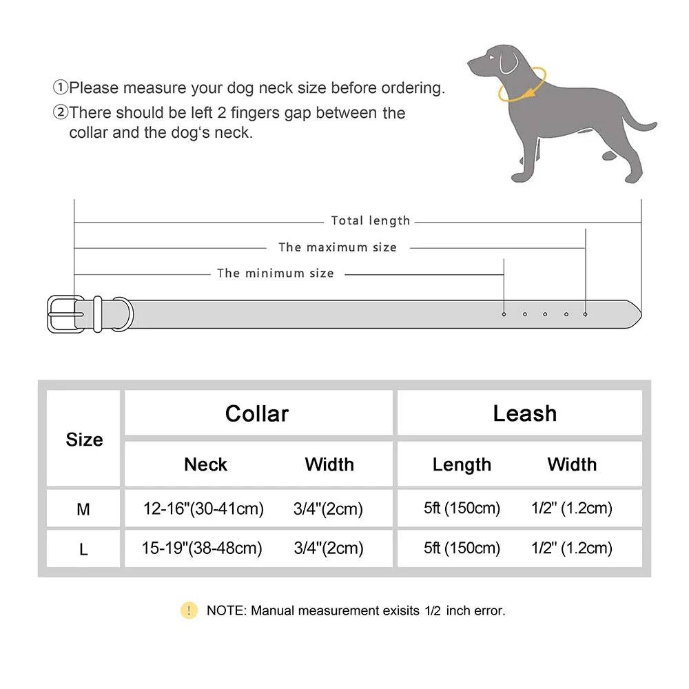 Dog Genuine Leather  Collar Leash Set